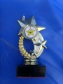 Star of the Week Award